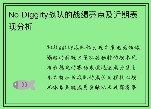 No Diggity战队的战绩亮点及近期表现分析
